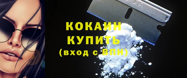 твердый Михайлов
