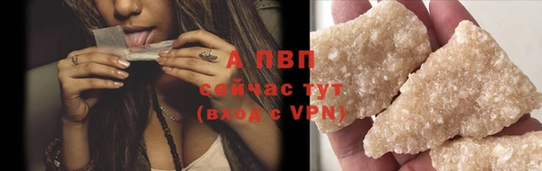 твердый Михайлов