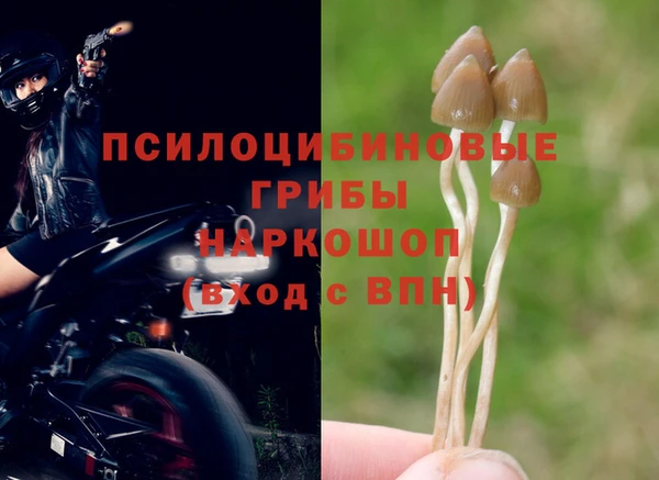 мяу мяу мука Медвежьегорск