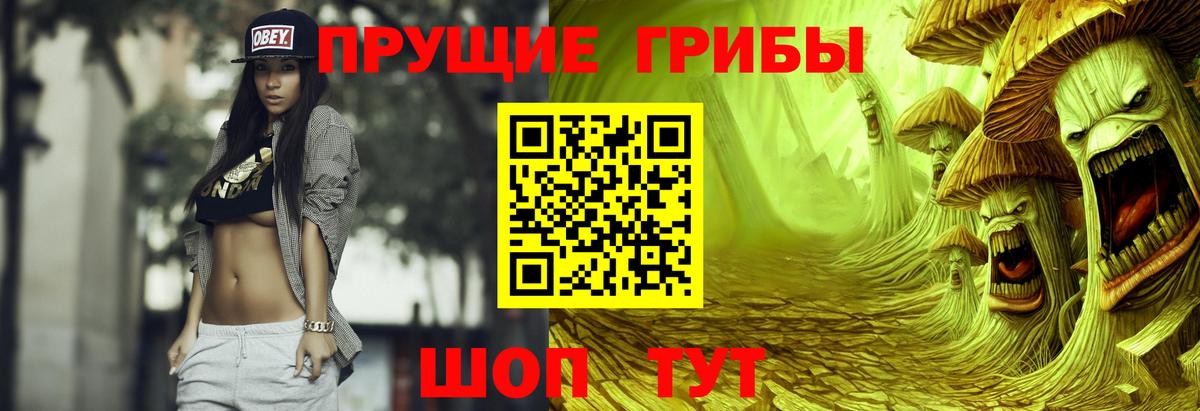 Псилоцибиновые грибы ЛСД  Вход с VPN  Псилоцибиновые грибы Psilocybine cubensis  Нарткала 