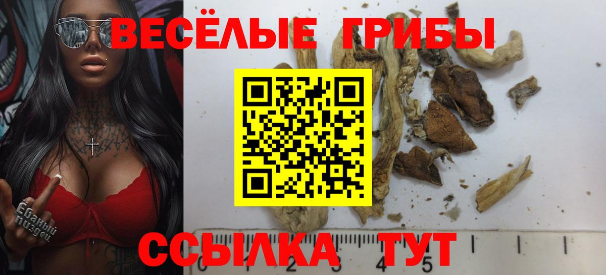Галлюциногенные грибы ЛСД Нарткала