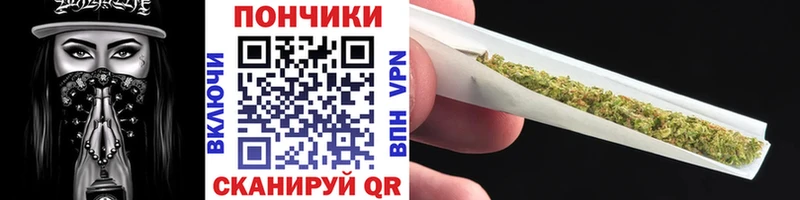 купить наркотик  Нарткала  Конопля сатива 